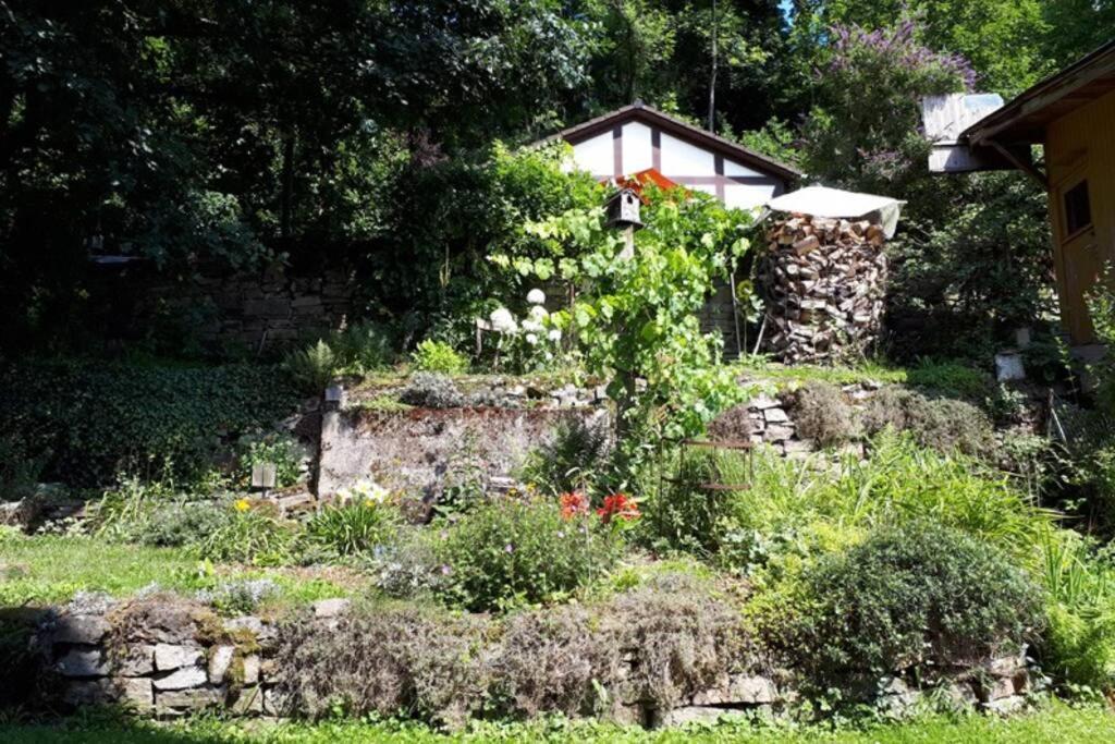 Eine Gemuetliche Ferienwohnung Mit Garten Бад Карлхафен Екстериор снимка