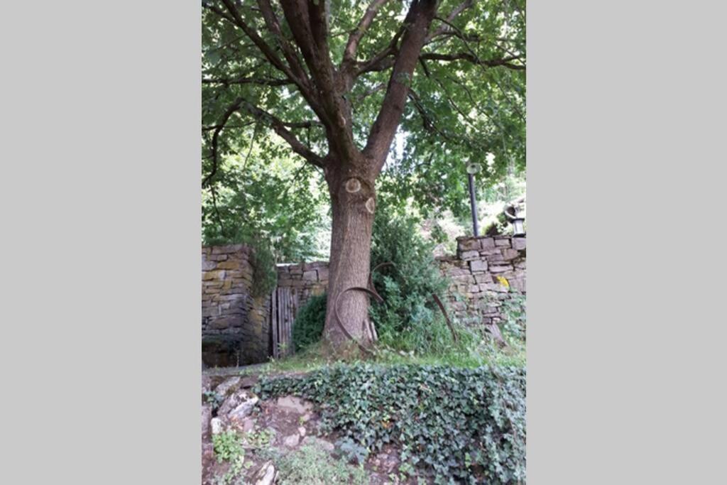 Eine Gemuetliche Ferienwohnung Mit Garten Бад Карлхафен Екстериор снимка