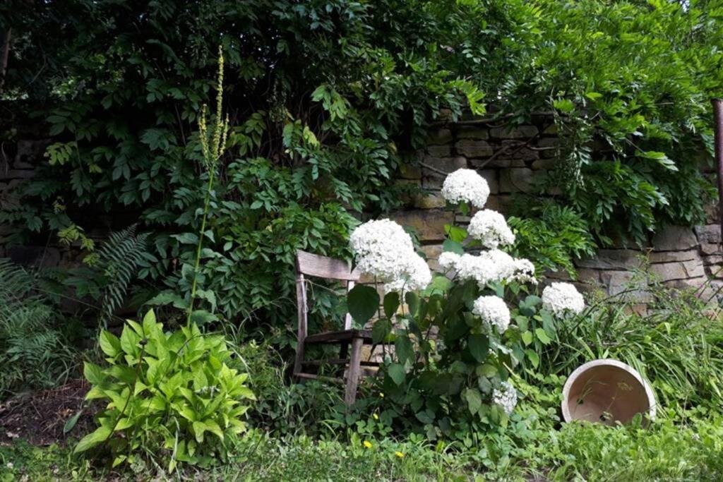 Eine Gemuetliche Ferienwohnung Mit Garten Бад Карлхафен Екстериор снимка